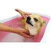 Cambrian Yang Pyrethrum Pet Bathing Agent doggubasu Powder Type 14 Bao Rosemary
