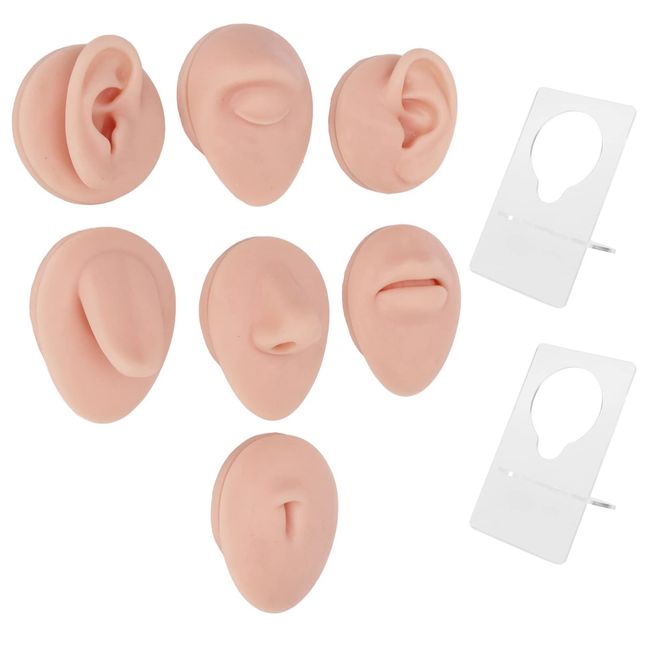 Soft Silicone Flexible Model Body Part, Silicone Nose Tongue Mouth Eye Navel Ear Model Fake Ear with 2 Base for Piercing Practice Acupuncture and Jewelry Display Teaching Tool (Medium Fleshcolor)