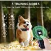 NEW Dog Care Training Collar Bark Collar Trainer