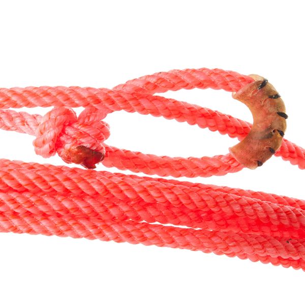Fast Back Rope Mfg Co. Centerfire 31ft Head Rope XS