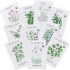 Sereniseed Certified Organic Herb Seeds - 10-Pack