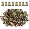 100pcs Carbon Steel Metric M5 Rivet Nuts Threaded Rivet Insert Nutsert Rivnuts Kit M5-0.8mm