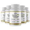 Ginkgo Biloba+Red Panax Ginseng, Helps Boost Brain Function - 5 Bottles