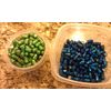 Transparent Candy Lime Green Powder Coating Paint - New 1 LB