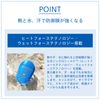SHISEIDO Sun Care Case (For BB)