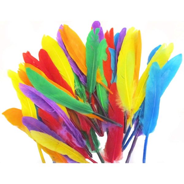 Kids B Crafty Craft Feathers, Quill Feathers, Assorted Colours, 40pcs x 14cm, Art, Crafts, Collage, Fly Fishing Dress Up Hats