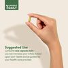 ANDREW LESSMAN Liver Anti-Oxidant Extracts 30 Capsules - Supports The Hard-Working Tissues of The Liver, Promotes Optimum Liver Health and Function. Milk Thistle, Turmeric and Artichoke Extracts