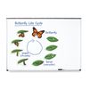 Learning Resources Butterfly Life Cycle, 9 Write and Wipe Pieces, Classroom Accessories, Teaching Aids, Ages 5+