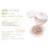 amritara skin dress powder refill