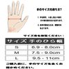 Wrist Protector for Skating Skateboarding Inline Skating Snowboard Protective Pad Support for Palm Width 9.5-11cm