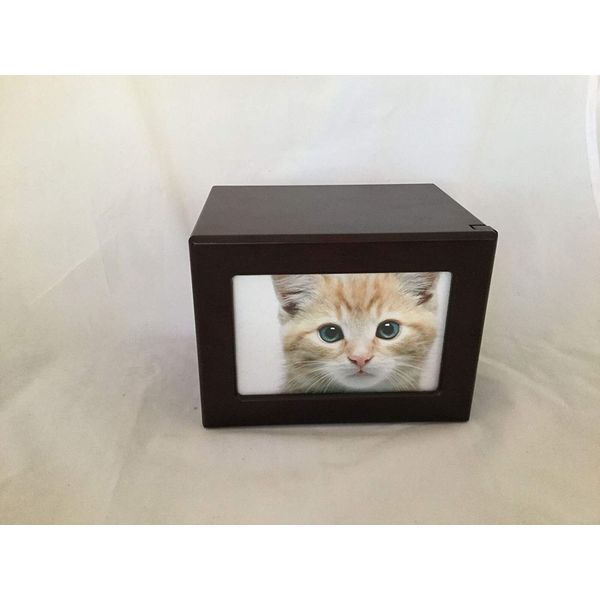 Pet Urn Peaceful Pet Memorial Keepsake Urn,Photo Box Pet Cremation Urn,Dog Urn,Cat Urn,Small Animal Urn, Size,Medium, Color,Cherry, 25 cu.in