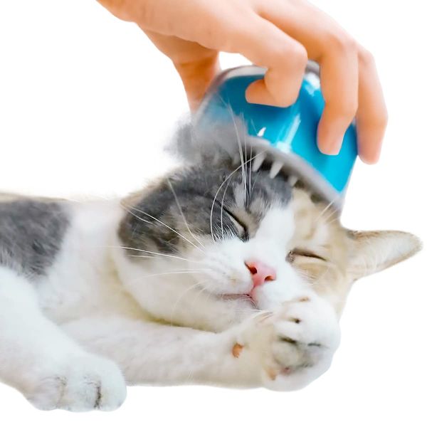 Cheerble Cat Brush, Cat Reward Beauty Salt, Candy Brush (Sea Salt Blue)