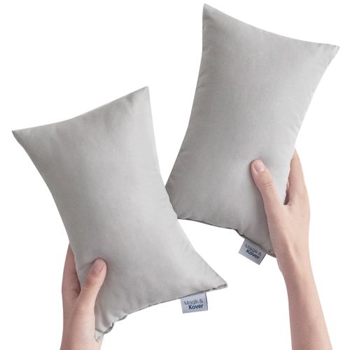 Small Pillow Mini Pillow for Travel 2 Pack, 11" x 7" Tiny Pillow with Name Tag, Small Pillow for Travel and Sleep, Great Small Rectangular Pillow for Neck, Lumbar, Back, Pet Dogs, Grey
