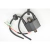 Double Line Ignition Coil for Arctic Cat Mountain Cat 800 EFI LE 2001 2002