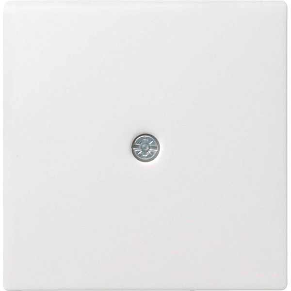GIRA 027427 Abdeckung Schnurableitung+VDO System 55 Reinwhite matt
