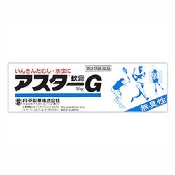 【第2類医薬品】アスターG軟膏 16g ×5