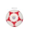 FC Bayern München Football I Size 5 I White I Football