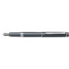 PILOT    FGRS-1-GB-EF  