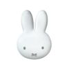 Miffy MF19744 Eyeshadow (Brown)