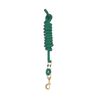 Perri's Poly Nylon Lead with Snap, Hunter Green, 8-Feet
