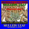 MULLEIN LEAF Fresh  Immune Impressive Benefits 100 Veg Capsules No Additives