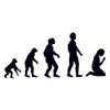 CafePress Human Evolution, Figures, Gifts Oval Car Bumper Sticker