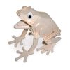Quay Frog Woodcraft Construction Kit FSC