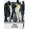 Penguin Birthday Card