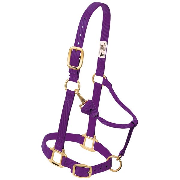 Weaver Leather Nylon Miniature Horse Adjustable Halter Purple
