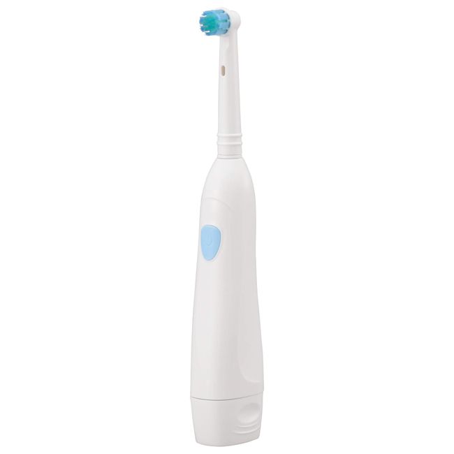 Iberis HB-C6K-W 00-5836 OHM Electric Toothbrush, Round Brush