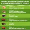 1000Mg Organic Lions Mane Mushroom Nootropic Memory Focus Immune Support