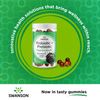 Swanson Probiotic + Prebiotic Gummies - Blackberry 1.5 Billion Cfu 60 Gummies