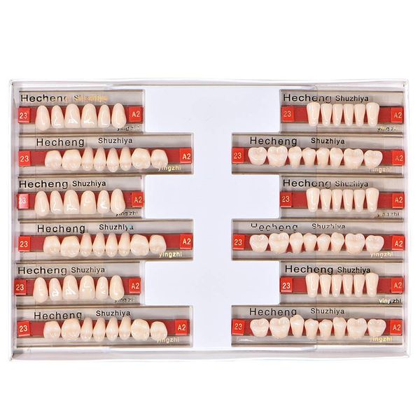 Angzhili 84 Pcs Dental Acrylic Resin Denture False Teeth 3 Sets Synthetic Polymer Resin Denture Teeth 23 Shade A2 Upper + Lower Dental Materials