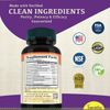 Glucosamine Chondroitin Joint Support Supplement - Tumeric 95% Curcuminoids 60ct