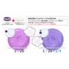 Color Butter Shocking Purple cb-SP