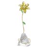 Swarovski, Florere Lily, Yellow, One Size
