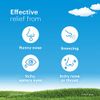 Claritin Non-Drowsy Reditabs, 10 tablets