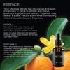 Oak Bishop Time Machine Face Hydrator, Patchouli and Neroli, 1.69 fl oz