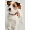 Rosewood Joules Rainbow Stripe Dog Collar Large