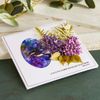 Spellbinders STP-088 Garden Favorites Sentiments Clear Stamp Set