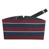 RAF Royal Air Force Regimental Cummerbund & Bow Tie (Cummerbund & Bow Set)