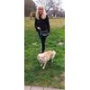 Dog walking bag with Free dispenser and Rolls