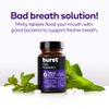 BURST Oral Probiotic - Bad Breath Support for Adults - Chewable Dental Oral Probiotics for Immune Support, Fresh Breath with Blis K12 & M18 - Mint (45 Count)