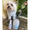 Coconut Dog Shampoo | For Silky Coats | 500ml | Mutneys