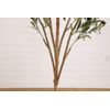 7’ Olive Minimalist Artificial Tree with Natural Trunk Home Decor. Retail $149
