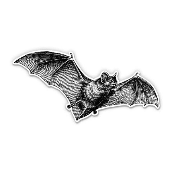 Bat - 12" Vinyl Sticker Waterproof Decal