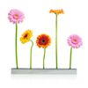 XXD Flower Boulevard Vase – an Vase – Impressed by Design