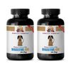 probiotics for dogs itch - DIGESTIVE AID 2B - immune system support for dogs