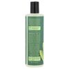 Desert Essence Tea Tree Replenishing Shampoo 12 9 fl oz 382 ml Biodegradable,
