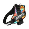 IDC Powerharness, Size: 2XL/3, Crazy